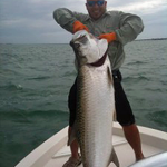 Giant tarpon caught in Marathon Florida