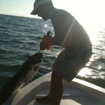 Jeff's Tarpon 4