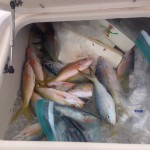 fish box