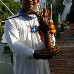 Big lobster