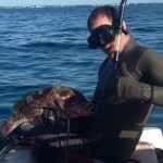 Brent grouper