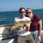 Hutchinson's grouper