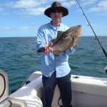 Jason grouper