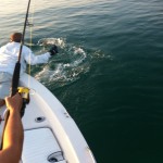 the release
