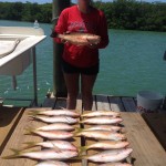 Megan yellowtails