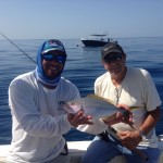 Pete yellowtail snapper