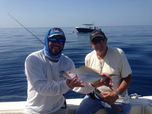 Pete yellowtail snapper