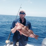 Logan's red grouper