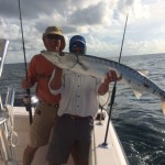 barracuda