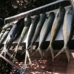 offshore fishing