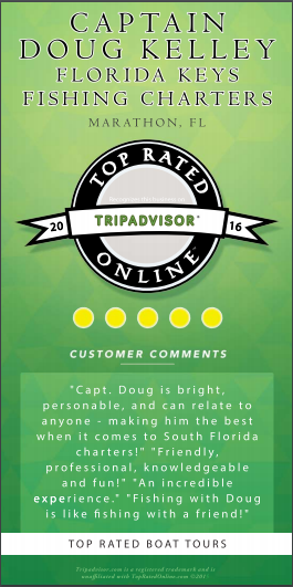 Captain Doug Kelley TripAdvisor Review