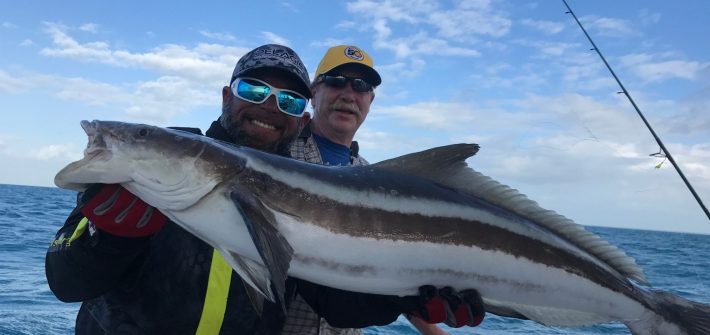 Monster cobia caught on a half day fishing charter off Marathon with Capt. Doug. Monster cobia caught on a half day fishing charter off Marathon with Capt. Doug.