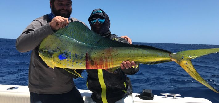 Dolphin season is in full effect. This one was caught with Capt. Doug on a full day offshore fishing charter off Marathon. Dolphin season is in full effect. This one was caught with Capt. Doug on a full day offshore fishing charter off Marathon.