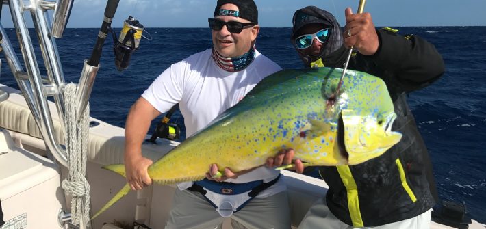 We caught this beautiful dolphin on a offshore fishing charter with Capt. Doug off Marathon in the Fl Keys! We caught this beautiful dolphin on a offshore fishing charter with Capt. Doug off Marathon in the Fl Keys!